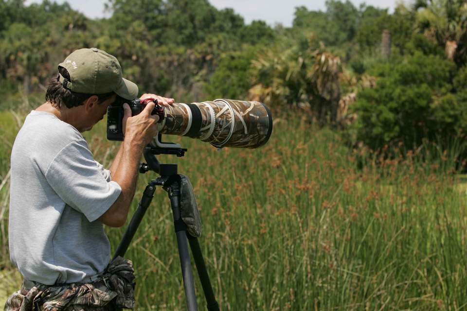 Wildlife fotograaf die een foto neemt